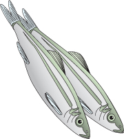 An illustration of two green sardines